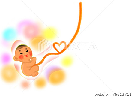 お腹の中にいる赤ちゃんのイメージイラスト のイラスト素材