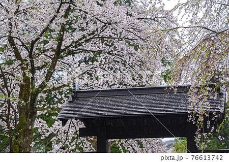 角館武家屋敷通り18 76613742