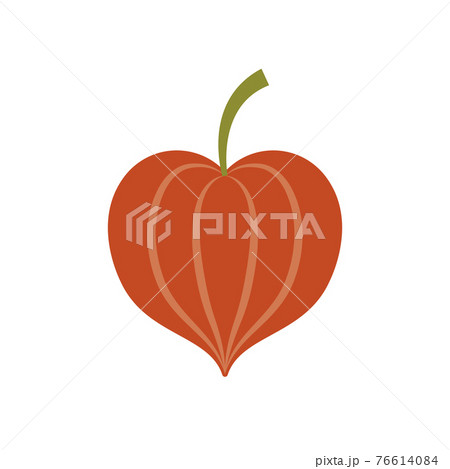 ほおずきのイラスト 76614084