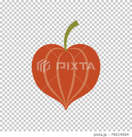 保月的插圖 76614084