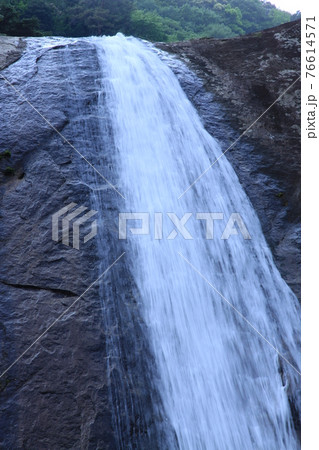 初夏の布引の滝 76614571
