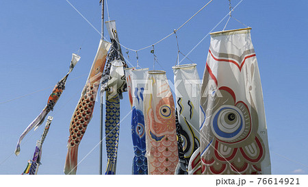 並んで下がる鯉のぼりの上部 並んで下がる鯉のぼりの上部 76614921