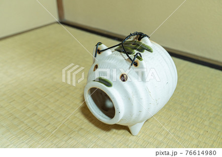 蚊取り豚 蚊取り豚 76614980