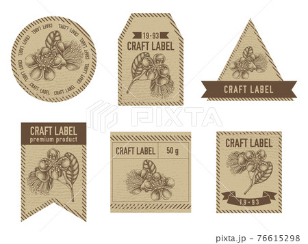 Craft labels vintage design with illustration of feijoa flowers Craft labels vintage design with illustration of feijoa flowers 76615298