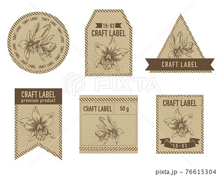 Craft labels vintage design with illustration of laelia 76615304