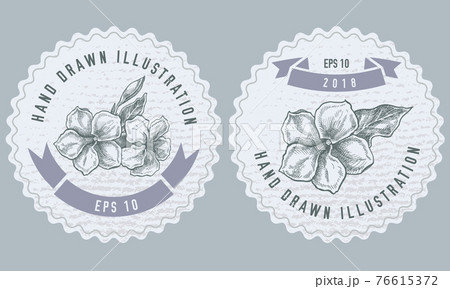 Monochrome labels design with illustration of allamanda 76615372