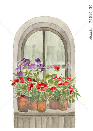 窓辺に飾られた鉢植えの【水彩イラスト】 白バック PNG  76616450