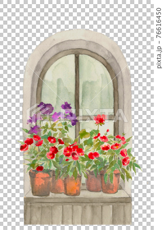 窓辺に飾られた鉢植えの【水彩イラスト】 白バック PNG  76616450