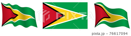 flag of Guyana in static position and in motion, fluttering in wind in exact colors and sizes, on white background