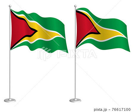 flag of Guyana on flagpole waving in wind. Holiday design element. Checkpoint for map symbols. Isolated vector on white background