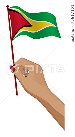 Female hand gently holds small Guyana flag. Holiday design element. Cartoon vector on white background