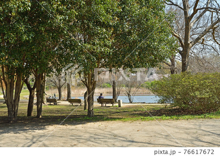 見沼田圃散歩:見沼自然公園 見沼田圃散歩:見沼自然公園 76617672