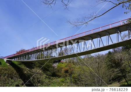 上路式吊床版橋（歩道橋） 76618229