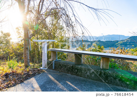 晴れた日の 登山道 <津乃峰山 徳島県> 晴れた日の 登山道 <津乃峰山 徳島県> 76618454
