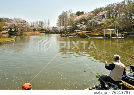 見沼田圃散歩：さぎ山記念公園 76618793
