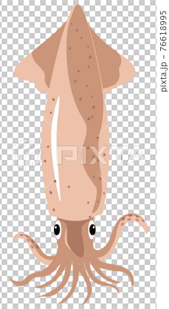 海鮮/魷魚 76618995