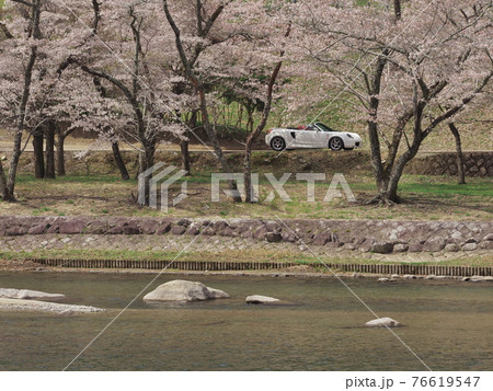 桜満開の三重県白山町リバーパーク真見の水辺公園を走るオープンカー 桜満開の三重県白山町リバーパーク真見の水辺公園を走るオープンカー 76619547