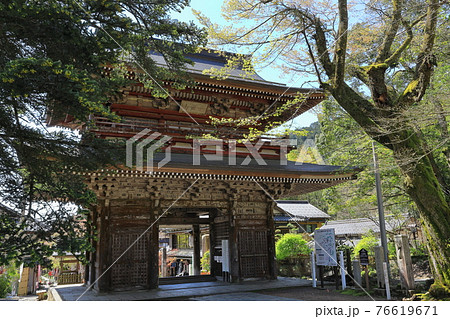 谷汲山華厳寺　仁王門(春) 76619671