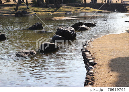 万博記念公園 園内の風景 春 【大阪府】 万博記念公園 園内の風景 春 【大阪府】 76619765