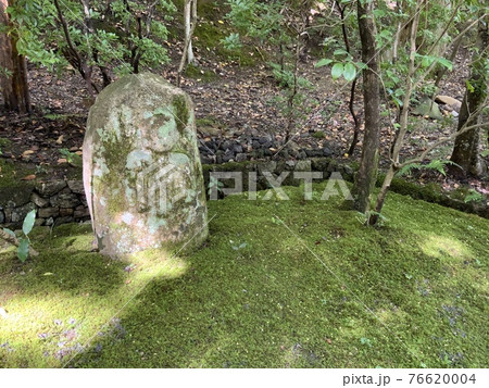 森の中の石像 76620004