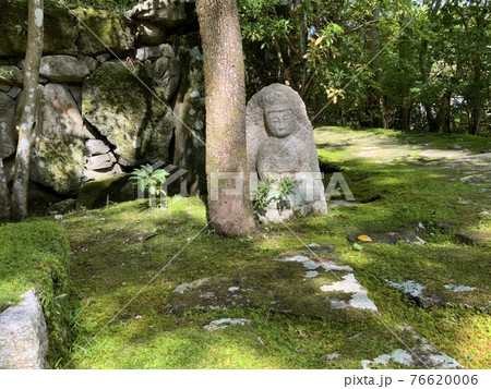 木と石像 76620006