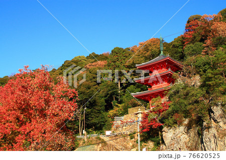 岐阜市、岐阜公園の紅葉と三重塔の風景 76620525
