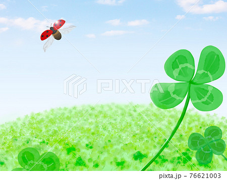 クローバーとテントウ虫。(エコイメージ) クローバーとテントウ虫。(エコイメージ) 76621003