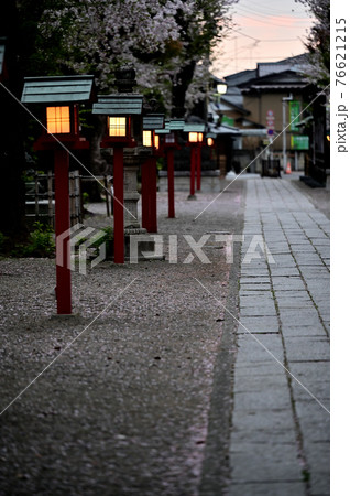 夜明けの参道1 夜明けの参道1 76621215