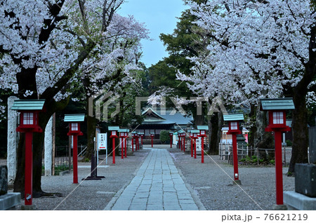 朝を迎えた鷲宮神社4 朝を迎えた鷲宮神社4 76621219