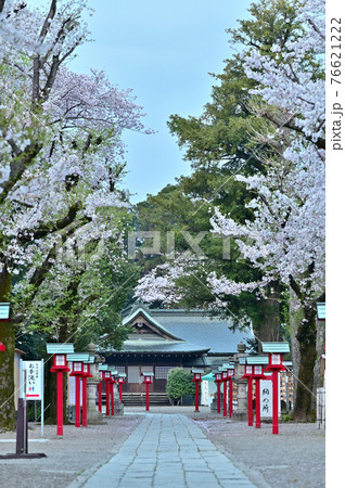 朝を迎えた鷲宮神社2 朝を迎えた鷲宮神社2 76621222