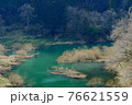 ダム湖の芽生え 76621559