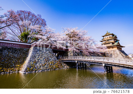 （長野県諏訪市）高島城跡　桜満開 76621578