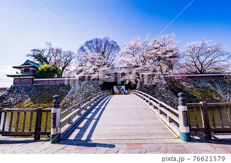 （長野県諏訪市）高島城跡　桜満開 76621579