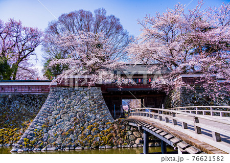（長野県諏訪市）高島城跡　桜満開 76621582