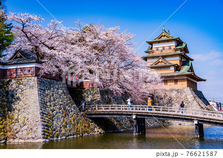 （長野県諏訪市）高島城跡　桜満開 76621587