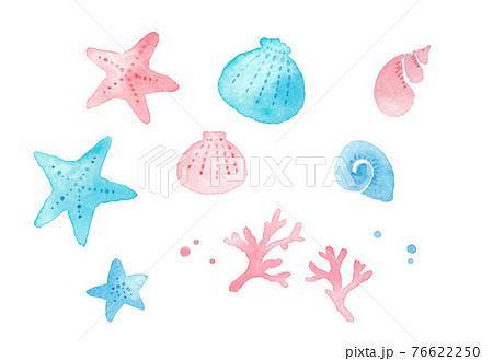 手描き水彩 海 貝殻のモチーフ カットイラストのイラスト素材
