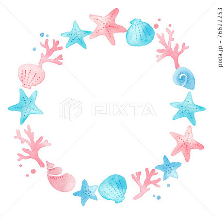 手描き水彩 海 貝殻のモチーフのイラスト素材