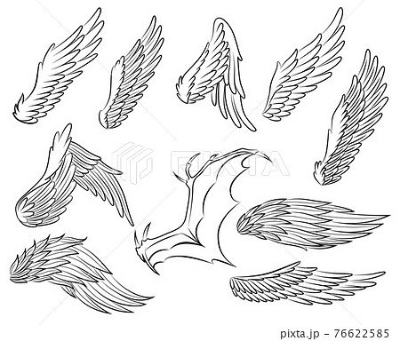 Collection of vintage heraldic wings sketch. Monochrome stylized birds wings. Hand drawn contoured stiker wing in open position. Design elements in coloring style 76622585