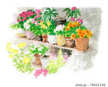 アナログ水彩春の鉢花スケッチのイラスト素材