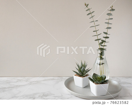 グレーの皿に置かれた多肉植物とガラスの花瓶に生けられたユーカリ銀世界右配置の写真素材