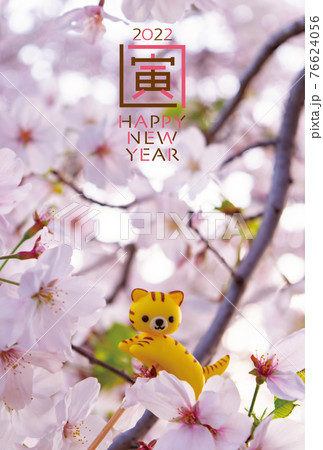 2022年寅年 年賀状テンプレート写真 2022年寅年 年賀状テンプレート写真 76624056