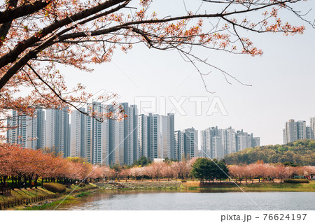 Hwarang Recreation Area park and modern apartment buildings at spring in Ansan, Korea 76624197