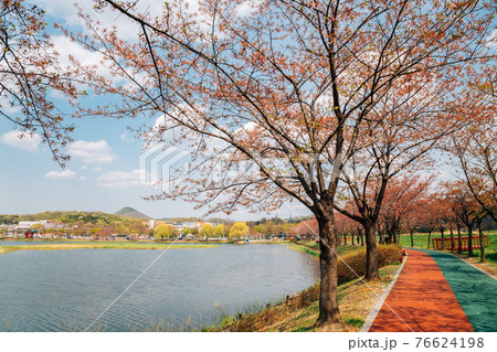 Hwarang Recreation Area park at spring in Ansan, Korea 76624198