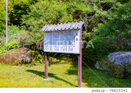 千葉県安房郡鋸南町にある鋸山日本寺で見た石に彫られた大仏様についての案内板 千葉県安房郡鋸南町にある鋸山日本寺で見た石に彫られた大仏様についての案内板 76625541