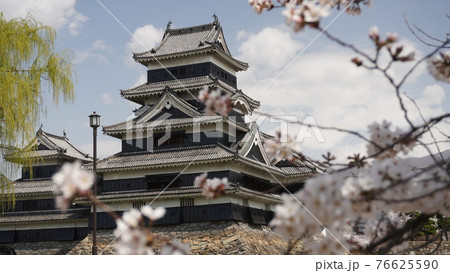 松本城のある風景 04 桜が咲く松本城公園内の松本城 長野県松本市付近 の写真素材