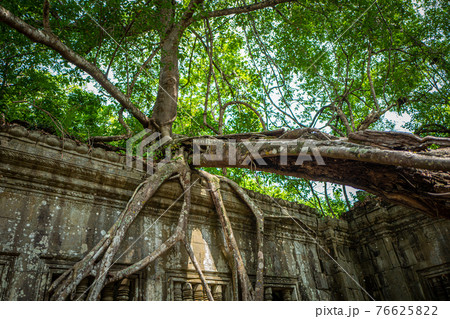 ベンメリア【カンボジア】 76625822