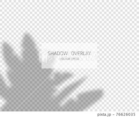 Shadow overlay effect. Natural shadows isolated on transparent background. Vector illustration.  76626035
