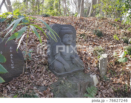 興禅院 埼玉県川口市 興禅院 埼玉県川口市 76627246