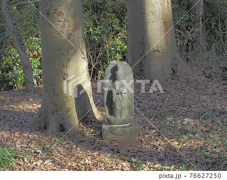 興禅院　埼玉県川口市 76627250
