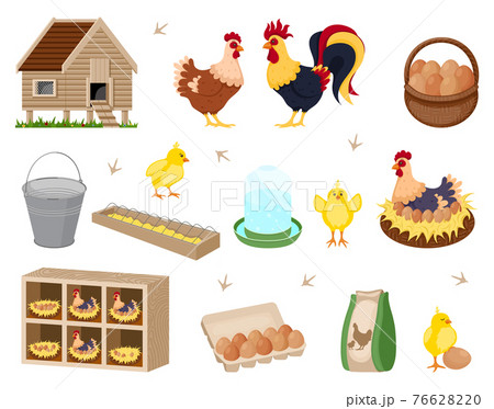 Chicken coop set 76628220